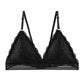 New Deep V Lace Bra Crop Top Triangle