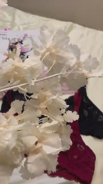 Load video: Cotton Non-Padded Lace Bra