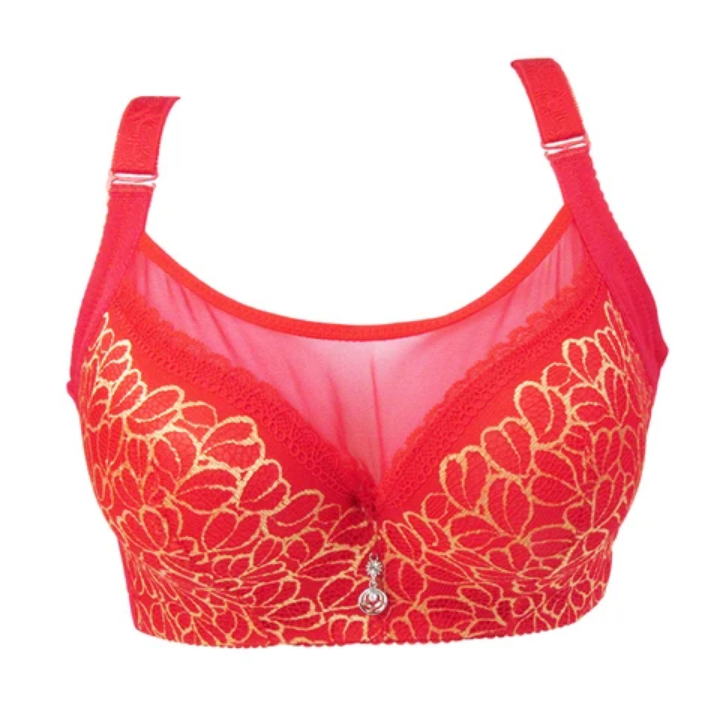 Sexy Lace Full Coverage Push up Plus Size Bra for Women