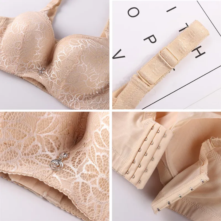 Sexy Lace Full Coverage Push up Plus Size Bra for Women