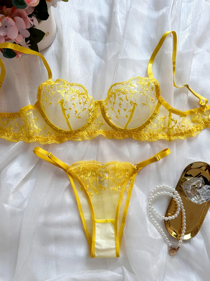 Scarlet Desire lace Transparent Lingerie Set