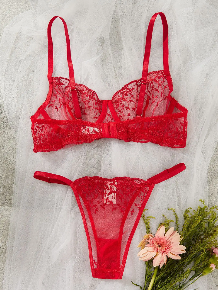 Scarlet Desire lace Transparent Lingerie Set