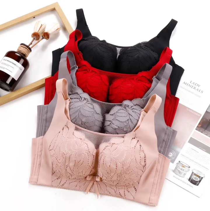 Sexy Mesh Bra Full Coverage Bra No Wire Push up Bras for Women Plus Size
