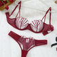 Transparent Net Lingerie Set