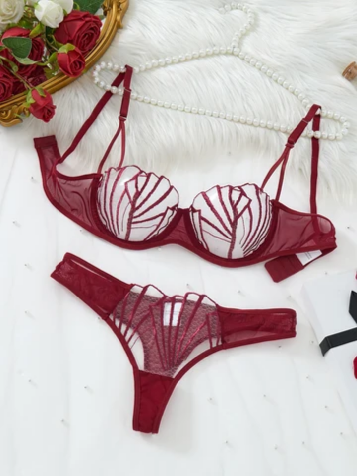 Transparent Net Lingerie Set