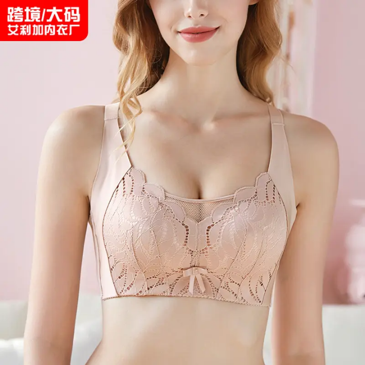 Sexy Mesh Bra Full Coverage Bra No Wire Push up Bras for Women Plus Size