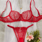 Scarlet Desire lace Transparent Lingerie Set