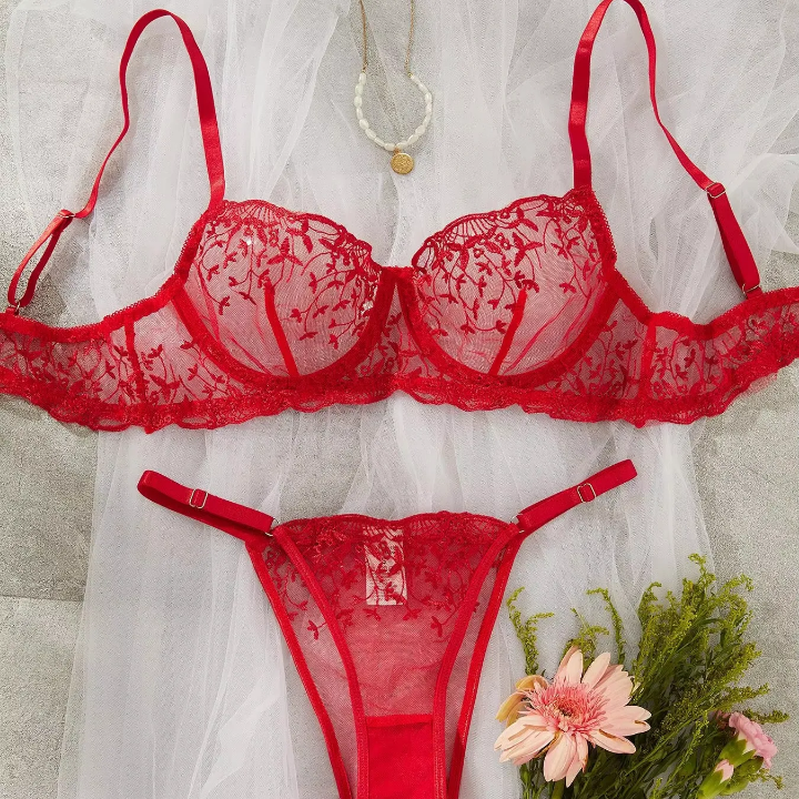 Scarlet Desire lace Transparent Lingerie Set