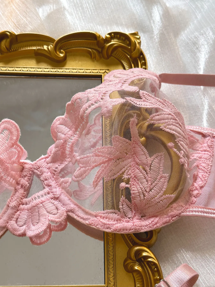 New Multi-color Sweet Sexy Embroidery See-Through Mesh Lace Gathered Erotic Lingerie Female