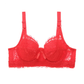 Women Lace Push up Bra Comfortable Plus Size Bra for Women Daily Wear