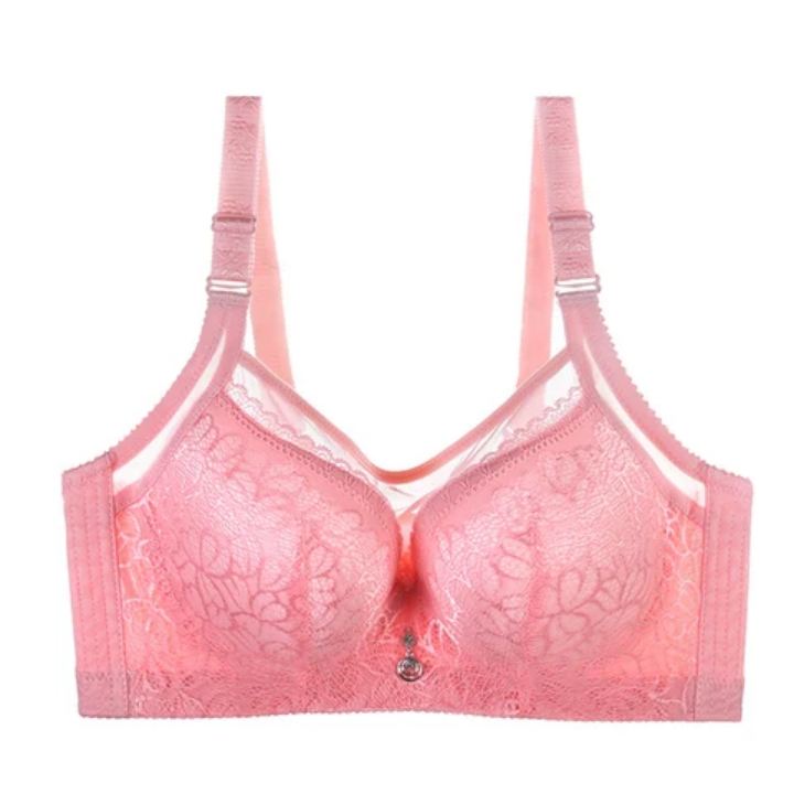 Sexy Lace Full Coverage Push up Plus Size Bra for Women